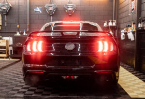 IMG_0769-scaled-1-300x205 Homepage