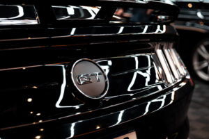 IMG_1005-300x200 Homepage